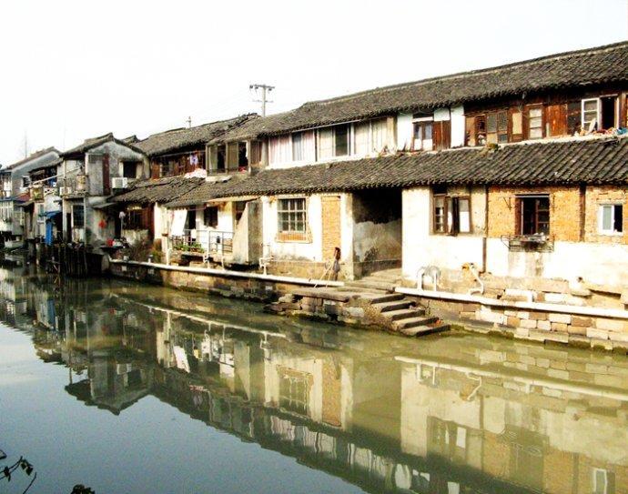 逃离橡子树种植地